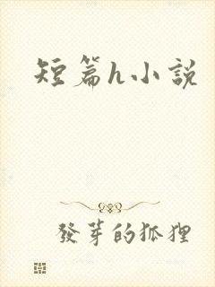 短篇h小说