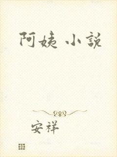 阿姨 小说