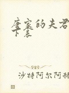 唐家的夫君们帘下衾