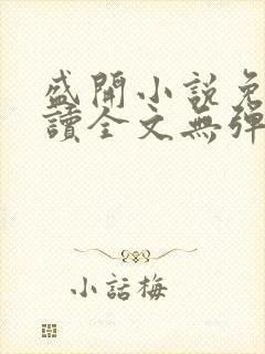 盛开小说免费阅读全文无弹窗