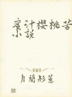 蜜汁樱桃苦咖啡小说