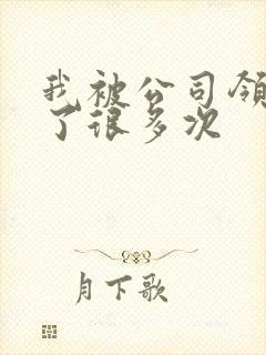 我被公司领导C了很多次