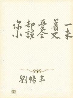 你却爱着一个他小说全文未删减免费