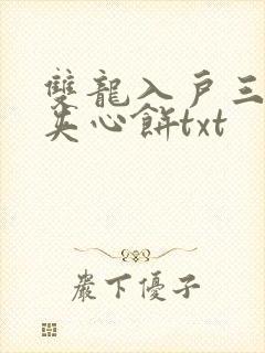 双龙入户三人行夹心饼txt