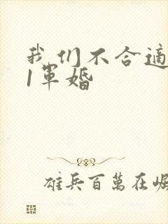 我们不合适1v1军婚