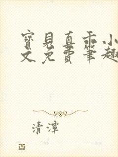 宝贝真乖小说全文免费笔趣阁