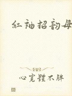 红袖招韵母攻略
