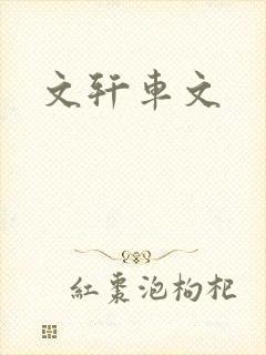 文轩车文