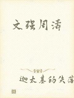 文强周涛