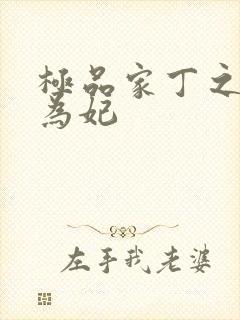 极品家丁之册母为妃