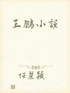 王鹏小说