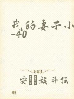 我的妻子小谨1-40