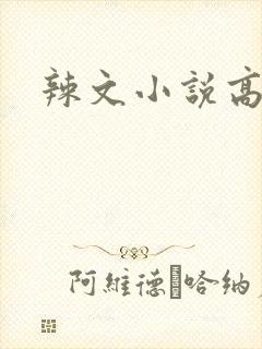 辣文小说高h