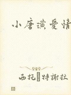 小唐璜爱情历史