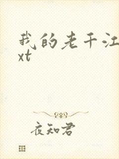 我的老千江湖txt