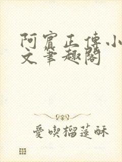 阿宾正传小说全文笔趣阁