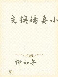 交换娇妻小说