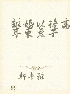 离婚以后高干 耳东兔子