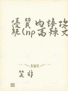 优质肉棒攻略系统(np高辣文)