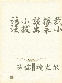 污小说总裁整夜没拔出来小说在线阅读