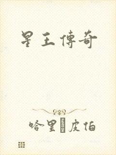 星王传奇
