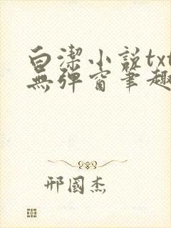 白洁小说txt无弹窗笔趣阁