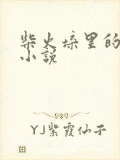 柴火垛里的疯狂小说