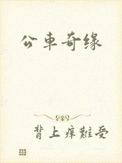 公车奇缘