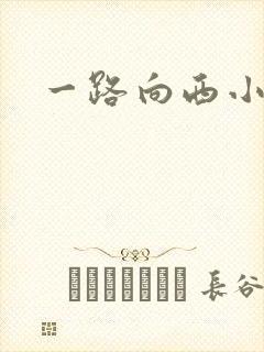 一路向西小说
