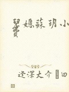 儿媳苏玥小说免费