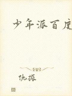 少年派百度百科