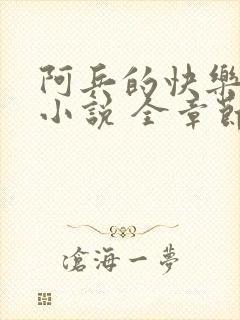 阿兵的快乐生活小说 全章节阅读免费