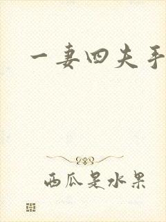 一妻四夫手记