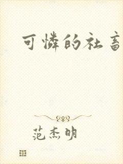 可怜的社畜小说