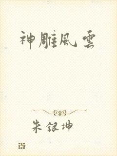 神雕风云
