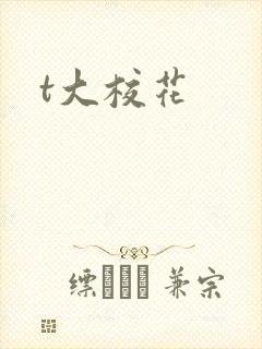 t大校花