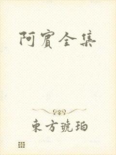 阿宾全集