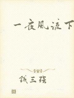 一夜风流下载
