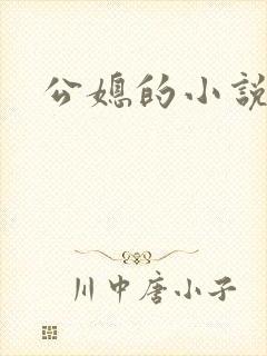 公媳的小说