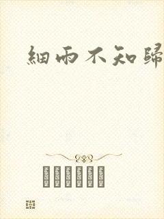 细雨不知归