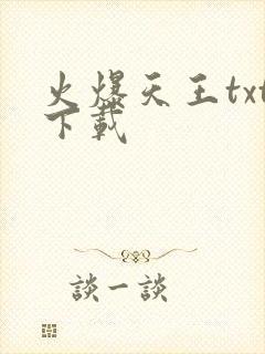 火爆天王txt下载
