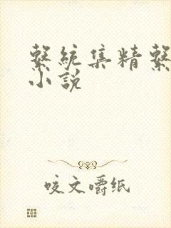 系统集精系统 小说