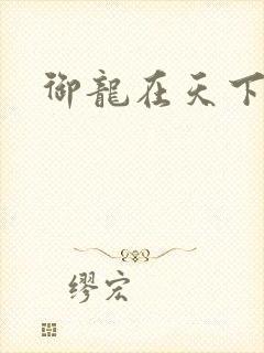 御龙在天下载