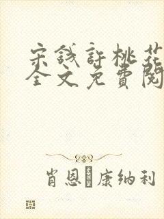 宋钱许桃花小说全文免费阅读