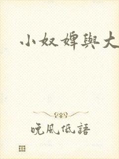 小奴婢与大少爷