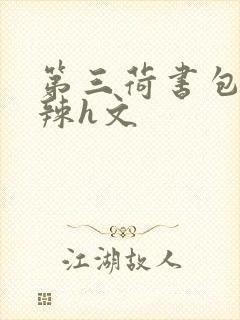 第三荷书包网高辣h文