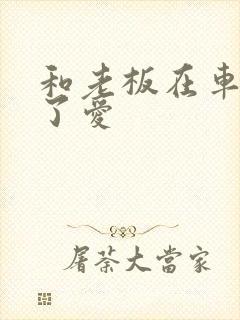 和老板在车里做了爱