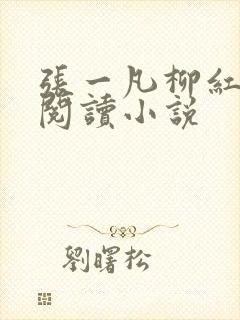张一凡柳红免费阅读小说