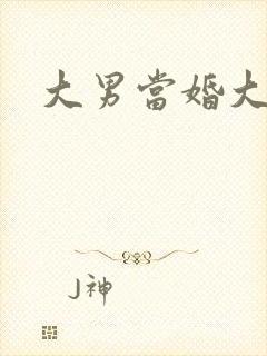 大男当婚大结局