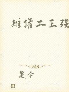 维修工王强张婷